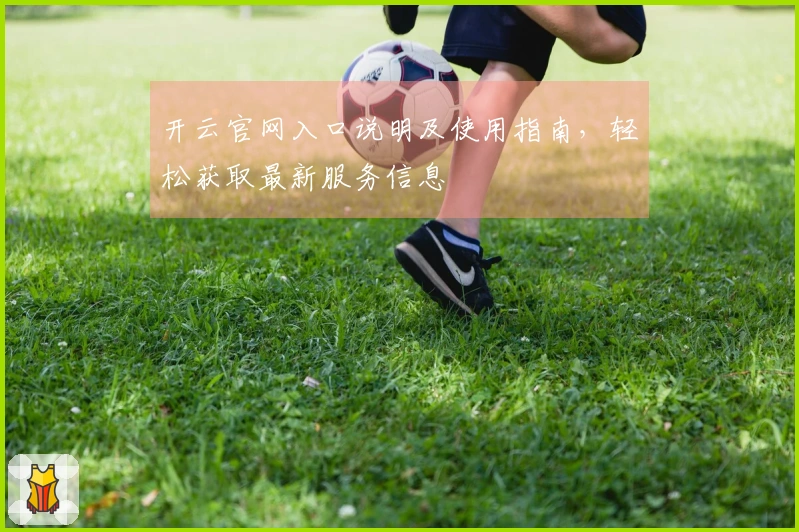 开云官网入口说明及使用指南，轻松获取最新服务信息