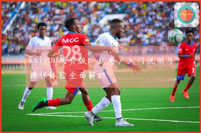 Kaiyun网页版:新用户入门说明与操作体验全面解析