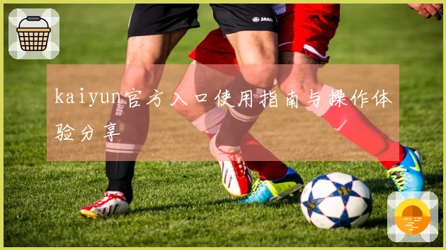 kaiyun官方入口使用指南与操作体验分享